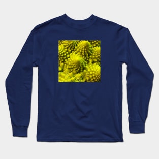 Fibbonaci Pattern in Romanesco brocolli Long Sleeve T-Shirt